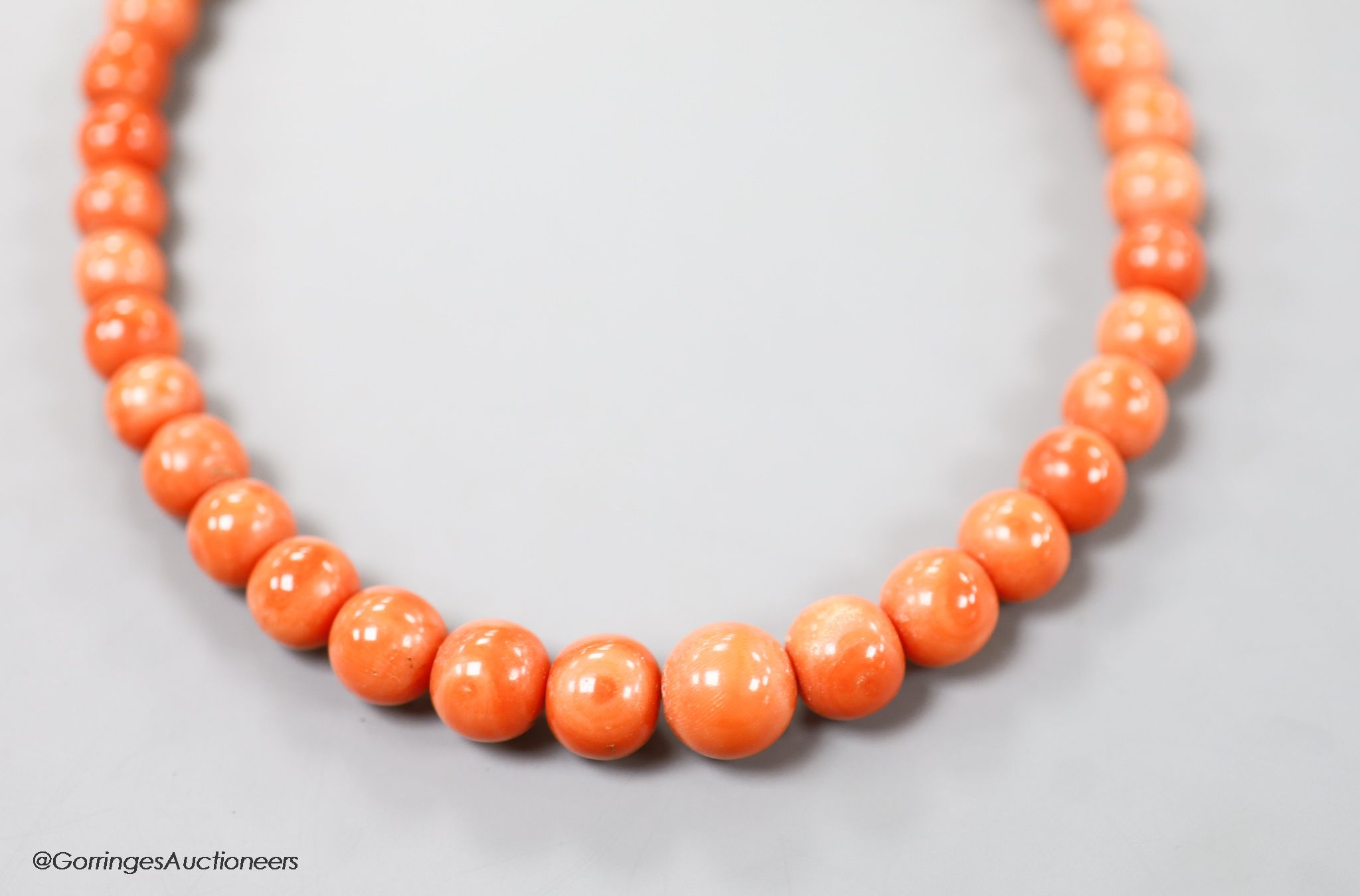 A single strand graduated coral bead choker necklace, 36cm, gross weight 63 grams.